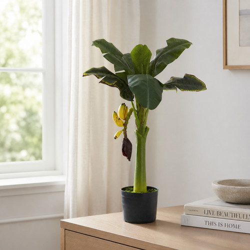 Banana tree 7 lvs - 3',